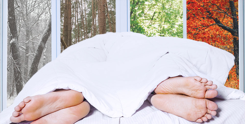 Couple under split duvet with feet exposed with all the seasons being shown in the background window.