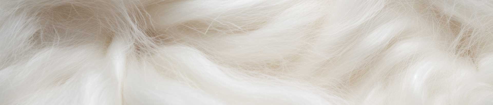 Alpaca wool fibres magnified, showcasing their softness and texture